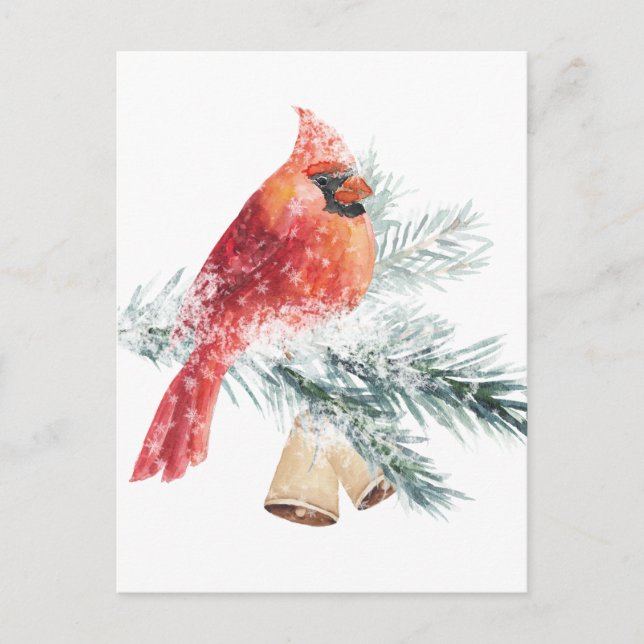 Red Cardinal Snowy Blue Spruce Gren Winter Scene Vykort (Framsida)