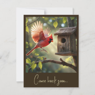 " RED CARDINAL " VYKORT