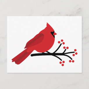 Red Cardinal Vykort
