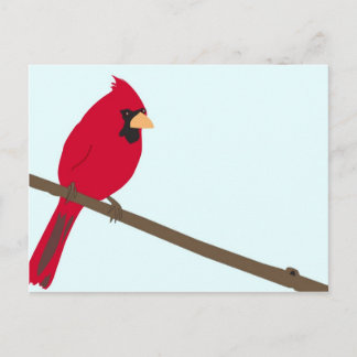 Red Cardinal Vykort