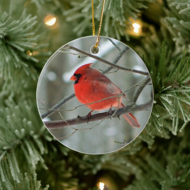 Red Cardinal Winter Ornament (Träd)