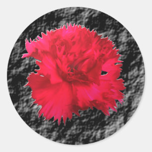 Red Carnation Blommigt Fantsay Runt Klistermärke