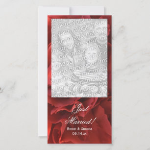 Red Carnation Blommigt Ny gifta Bröllop Meddelande