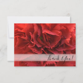 Red Carnation Blommigt Tack Kort