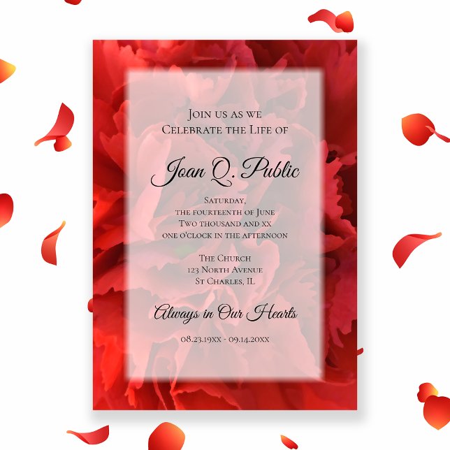 Red Carnation Flower Firande of Life Memorial Inbjudningar (Skapare uppladdad)