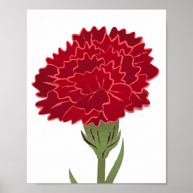 Red Carnation Flower Poster (Framsidan)