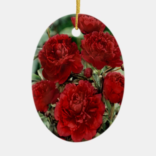 Red Carnation Flowers Ornament (Framsidan)