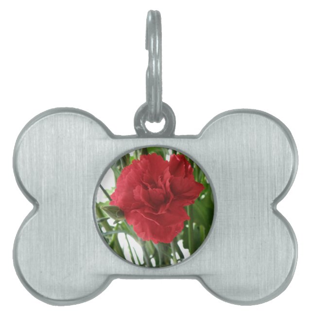 Red Carnation Pet Tag ID-bricka Husdjur (Framsidan)