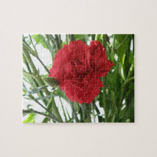 Red Carnation Puzzle Pussel