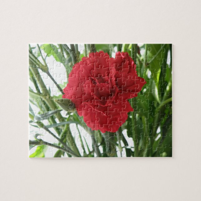 Red Carnation Puzzle Pussel (Horisontell)