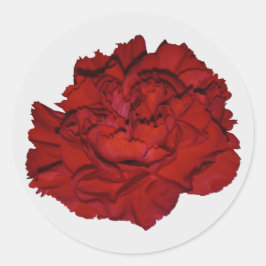 Red Carnation Stickers Runt Klistermärke