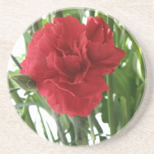 Red Carnation Underlägg Sandsten