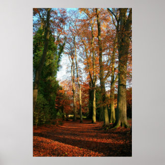 Red Carpet Canvas och Poster Skriv ut