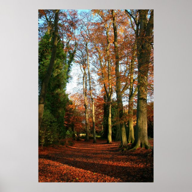 Red Carpet Canvas och Poster Skriv ut (Framsidan)