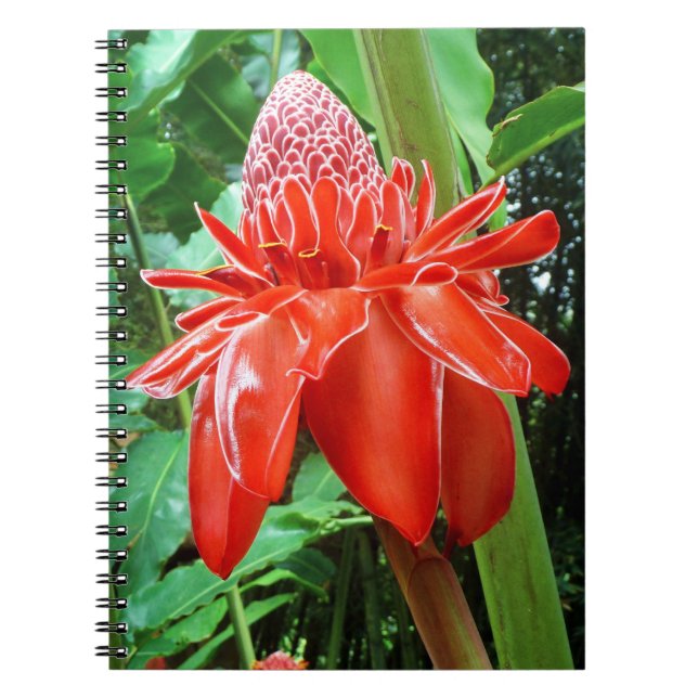 Red Carriböna Ro Exotic Flower Anteckningsbok (Framsidan)