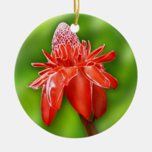 Red Carriböna Ro Exotic Flower Julgransprydnad Keramik