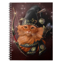 Red cat archer