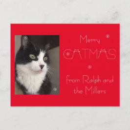 Red Cat Pet Photo Merry Catmas Helg Vykort