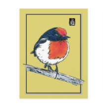 Red-Ccap Robin Bird