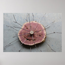 Red Cedar Natural Eco-Art Sculpture Center Poster
