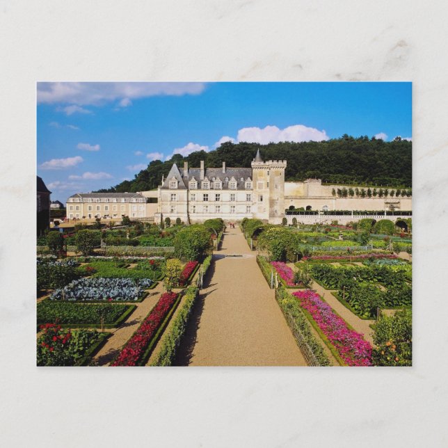 Red Chateau de Villandry and yard, Loire Valley, Vykort (Framsida)