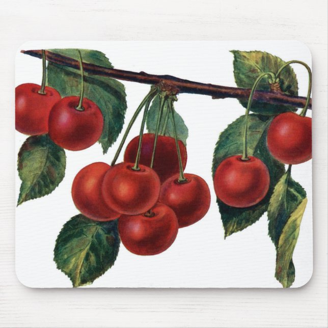 Red Cherries Musmatta (Framsidan)