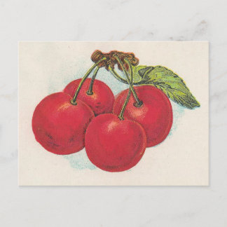 Red Cherries Vykort