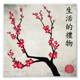 Red cherry blommar 3art "Gift of life" Fototryck