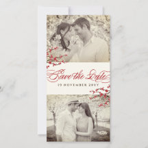 Red Cherry Blommars Asian Zen Sakura Flowers Photo