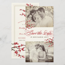 Red Cherry Blommars Asian Zen Sakura Flowers Photo