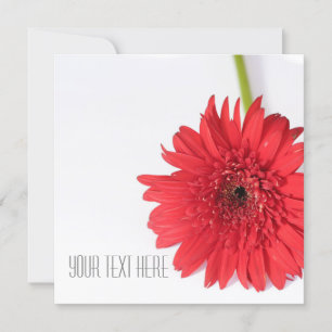 Red Chrysanthemum Ditt textplatta kort