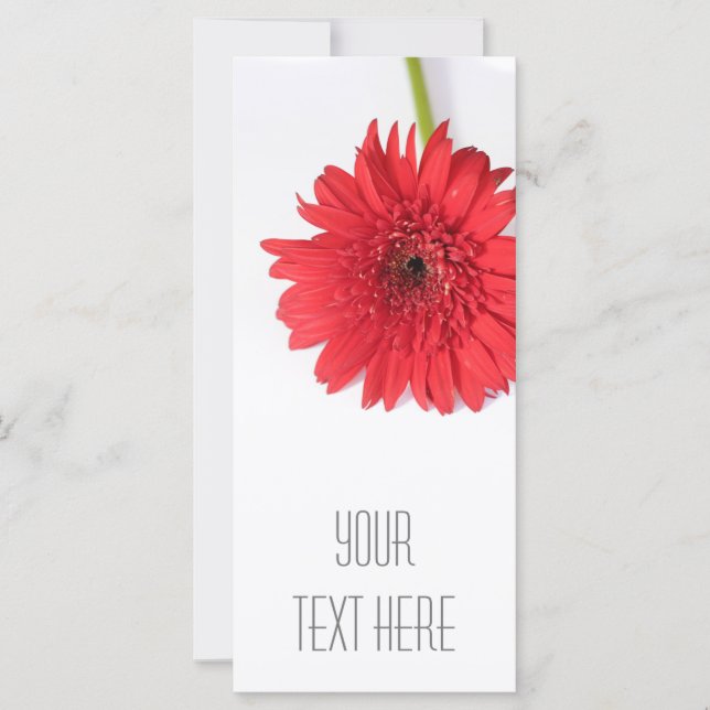Red Chrysanthemum Ditt textplatta kort (Framsida)