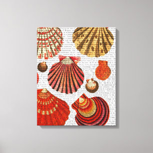 Red Clam-Snäckor Canvastryck