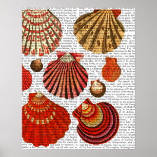 Red Clam-Snäckor Poster