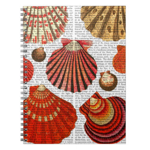 Red Clam Snäckors Anteckningsbok Med Spiral