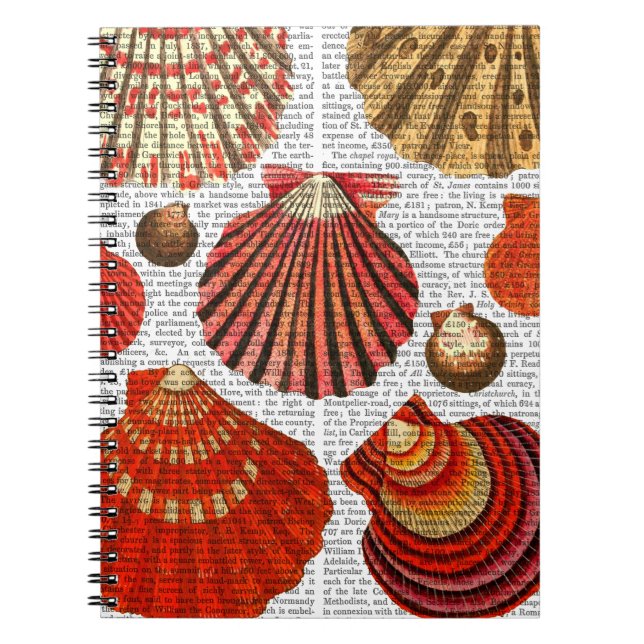 Red Clam Snäckors Anteckningsbok Med Spiral (Framsidan)