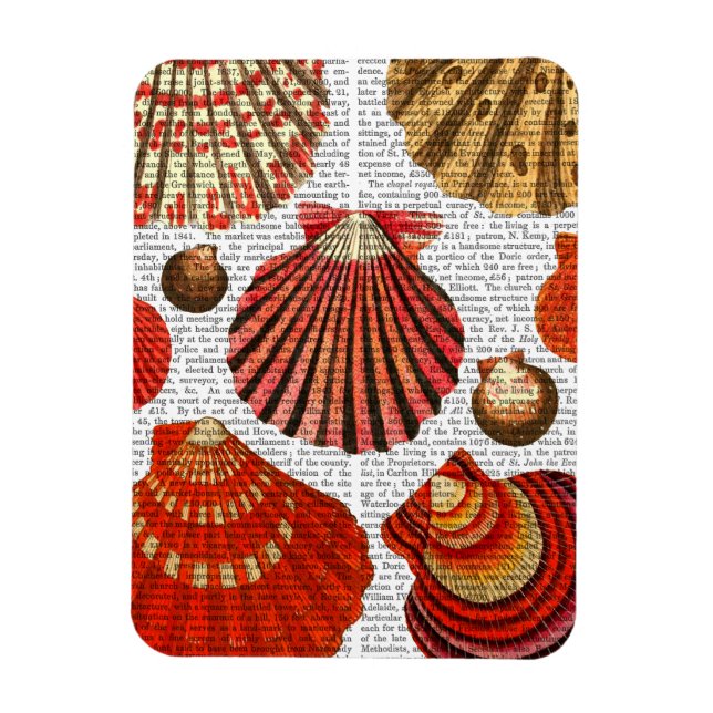 Red Clam Snäckors Magnet (Vertikal)