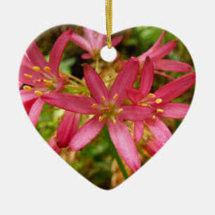Red Clintonia Flowers i Redwood Julgransprydnad Keramik