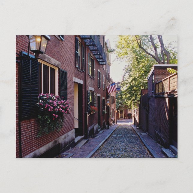 Red Cobblestone Acorn Street blommor Vykort (Framsida)