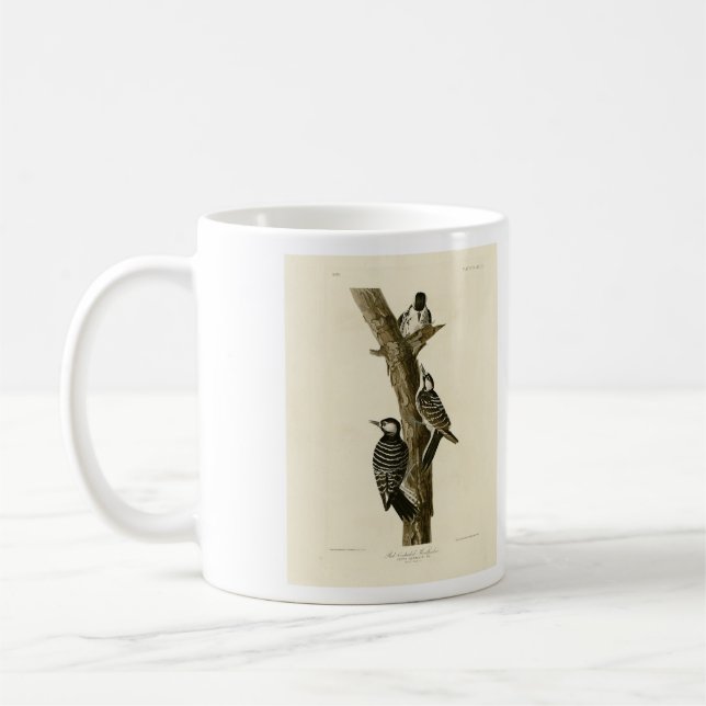 Red-Cockaded Woodpecker Audubon's Birds of America Kaffemugg (Vänster)