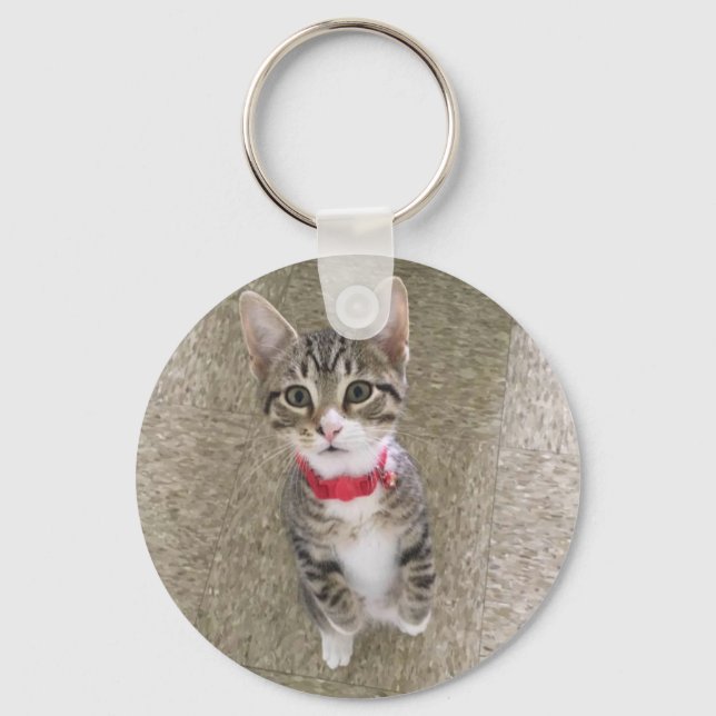 Red Collar Kattunge Nyckelring (Framsida)