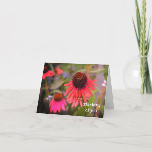 Red Cone Flowers tänker på dig Anteckningskort