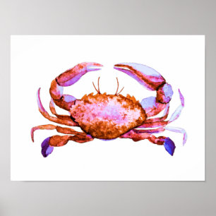 Red Crab Watercolor Skriv ut Poster