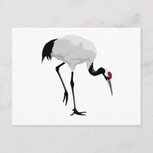 Red-Crowned Crane Japansk kran) Vykort