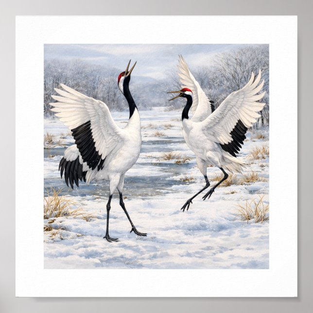 Red-crowned Cranes Dancing in Winter –  Poster (Framsidan)