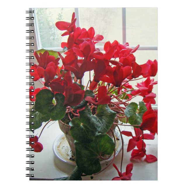 Red Cyclamen Flowers Anteckningsbok (Framsidan)