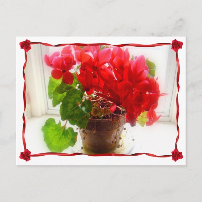 Red Cyclamen Flowers Vykort (Framsida)