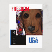 Red Dachshund