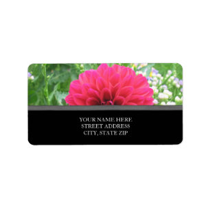Red Dahlia Adressetiketters Adressetikett
