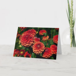 Red Dahlia-anteckningskort Kort
